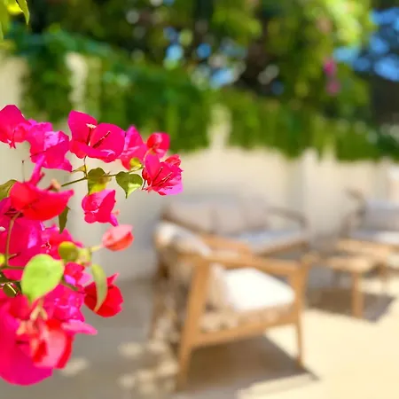 Bed and breakfast Carbone Xxi